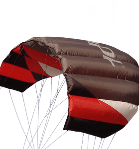 Sting 4 line Power Kite